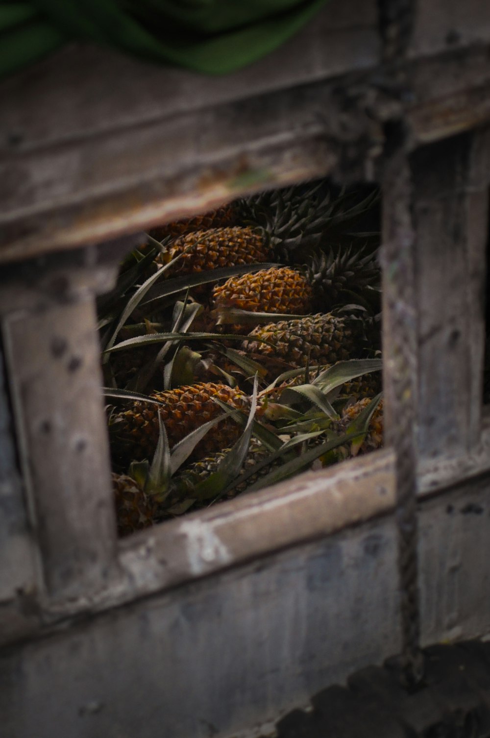 selective focus photography of pineapples