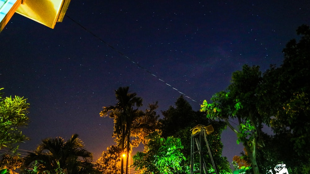 green leaved trees during nighttime