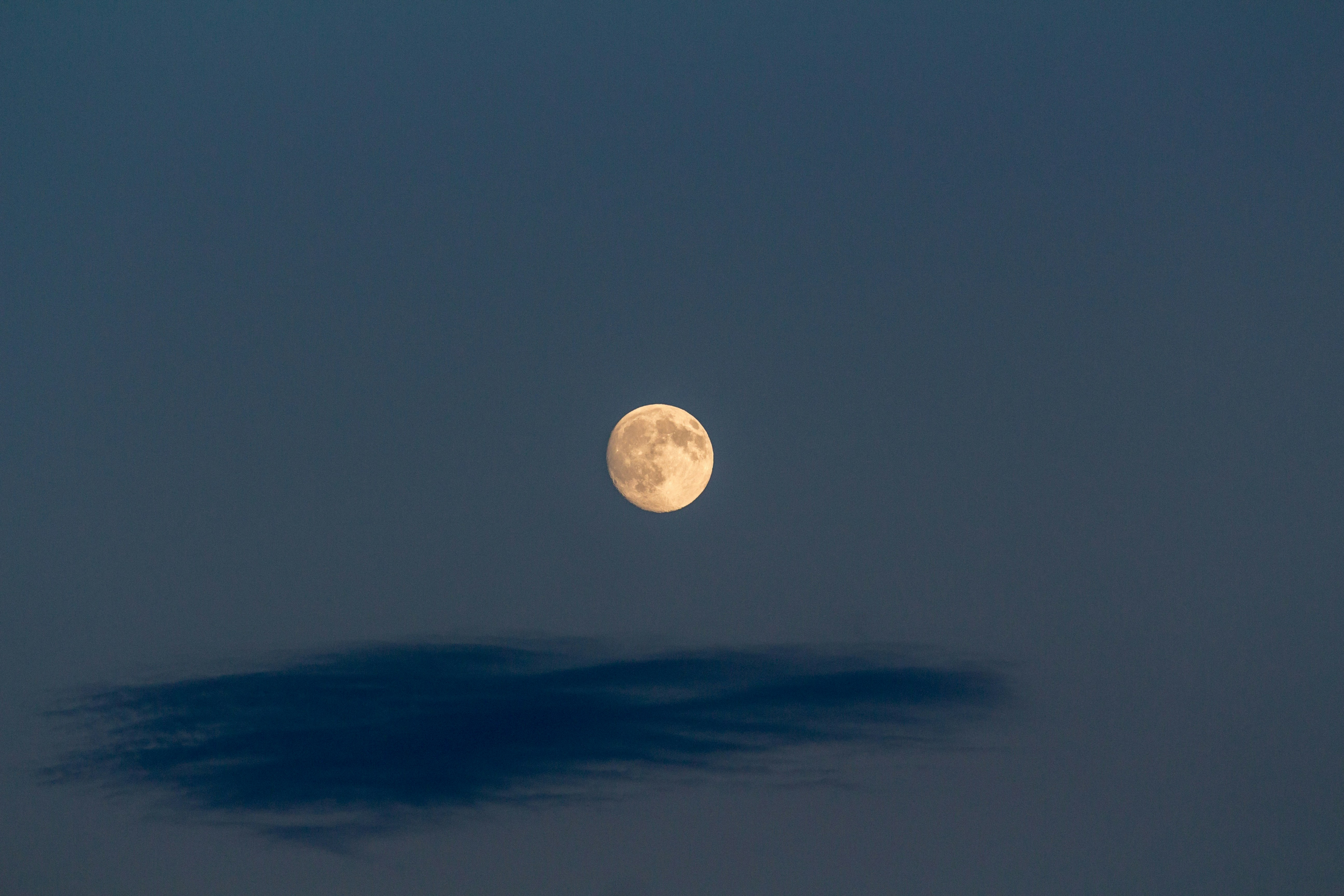 나이스 학부모서비스 가입 및 승인 절차 총정리