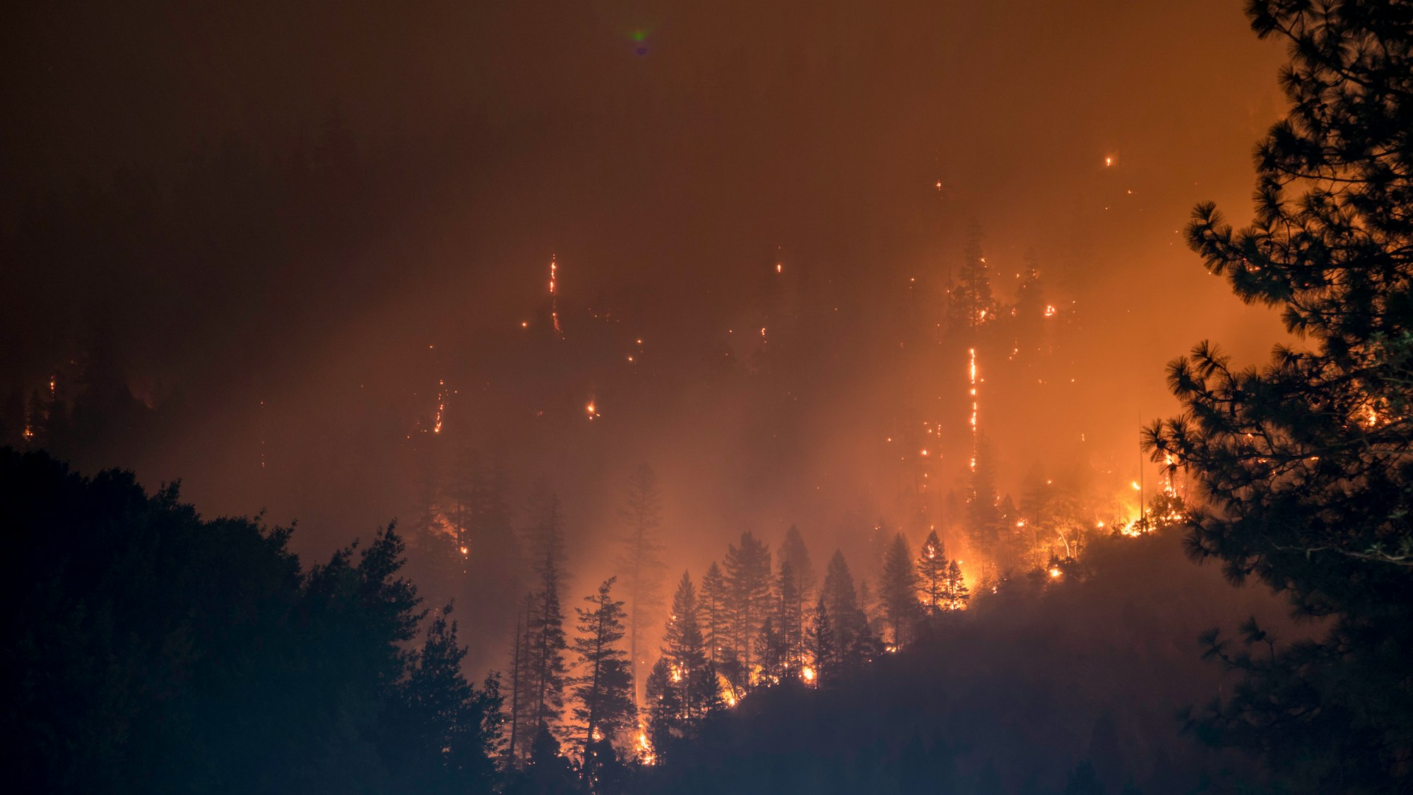 A görög tűzvész az EU valaha mért legnagyobb erdőtűze lehet