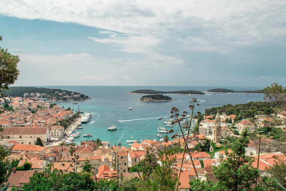 bird's eye view of village seashore