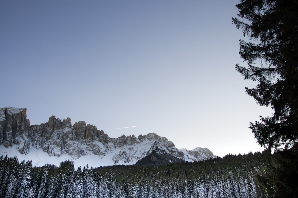 snowcapped mountain near forest