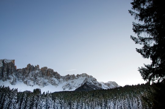 snowcapped mountain near forest in Karersee Italy