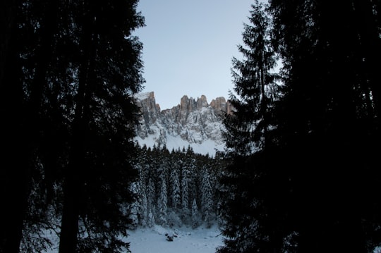 photo of snow capped mountain taken in between pine trees silhouette in Lake of Carezza Italy
