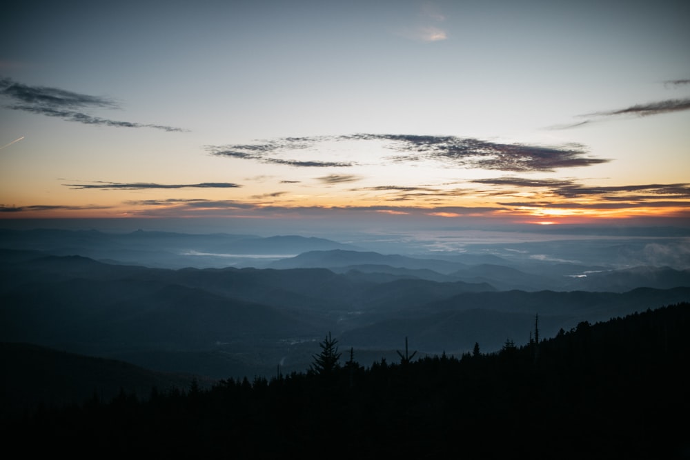 Luftaufnahmen von Silhouettenbäumen während des Sonnenuntergangs