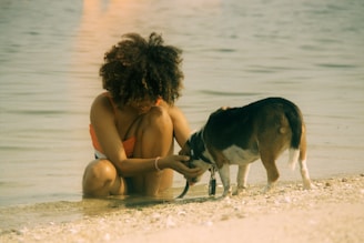 A trainer gently guiding a dog through water rescue exercises on a sunny day.