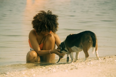 A volunteer gently feeding a thirsty stray dog under the desert sun.