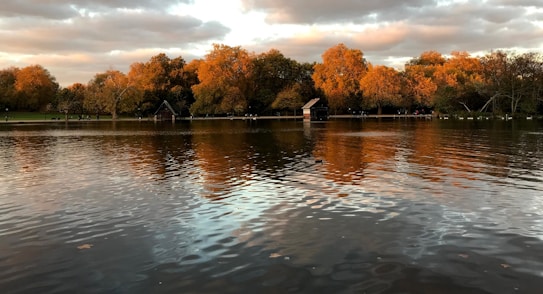 A serene lake with calm waters reflecting the vibrant autumn foliage of trees surrounding it. The sky is overcast with soft, fluffy clouds capturing the warm hues of sunset. A small wooden structure is visible near the water's edge, adding a rustic touch to the landscape.