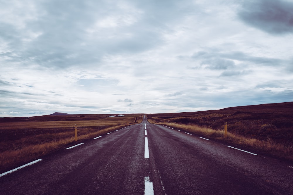 gray concrete road surrounded by grass fields