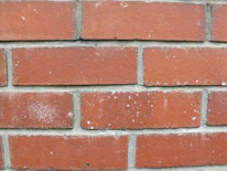 Close-up of sparkling clean brickwork after a thorough Veltrax builders clean.