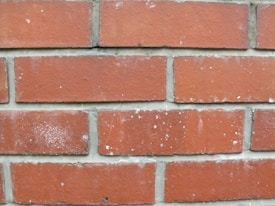 A close-up view of a brick wall featuring rows of red bricks with visible mortar in between. The surface of the bricks shows slight wear and some white speckles, adding texture to the otherwise uniform appearance.