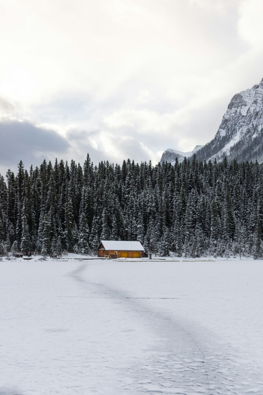 cabin in the middle of forest covered by snow