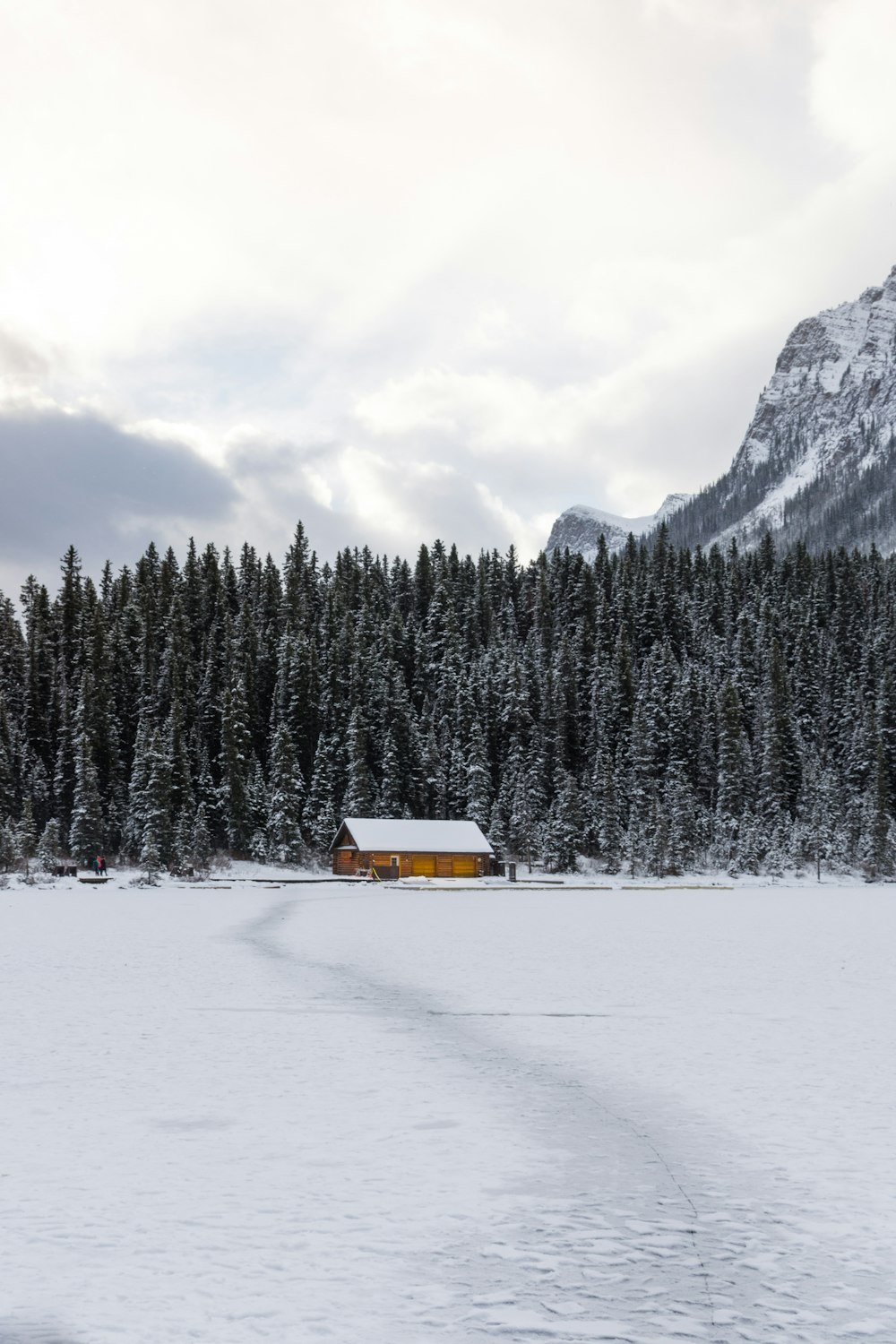 cabane au milieu de la forêt recouverte de neige
