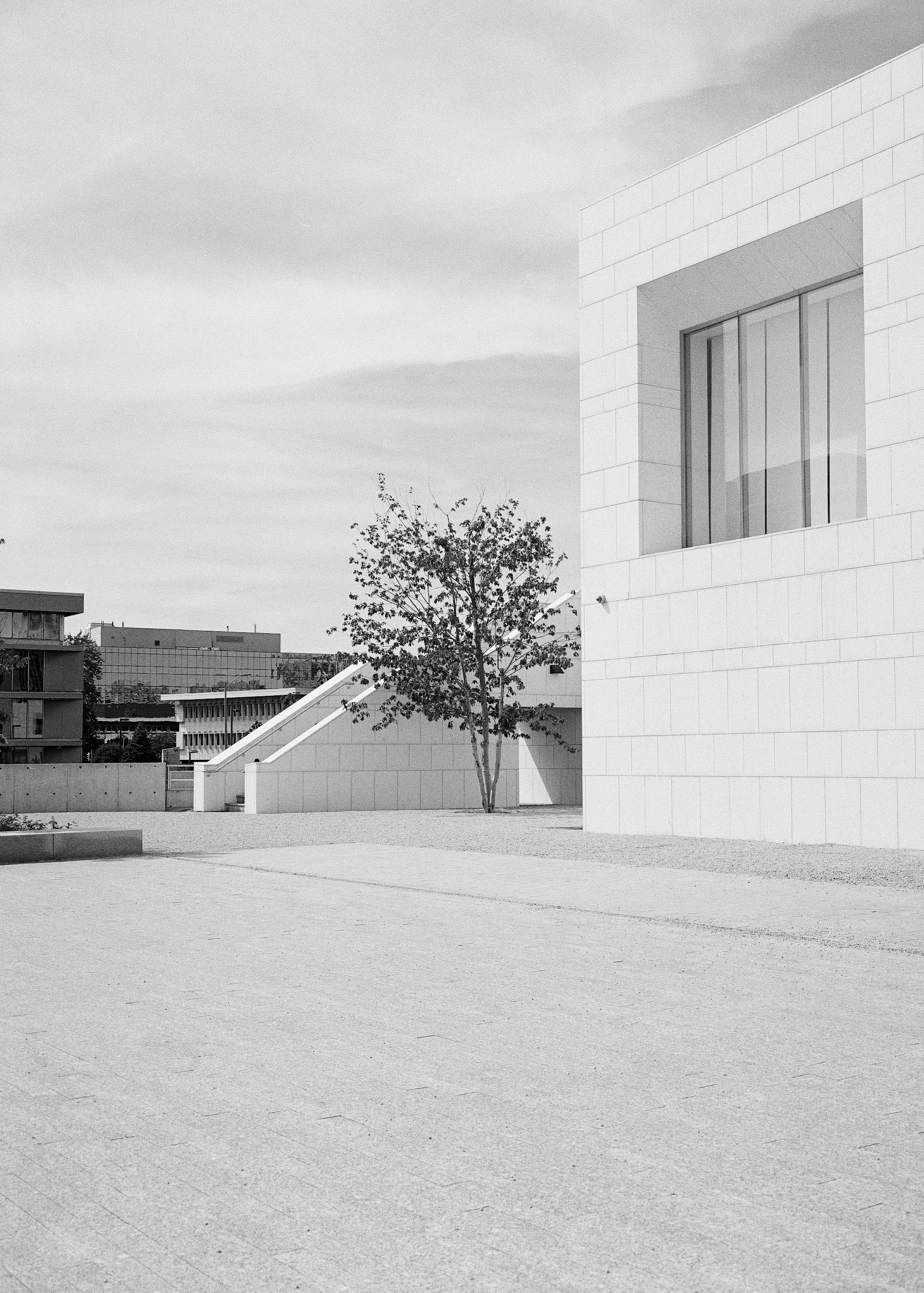 black and white bed linen