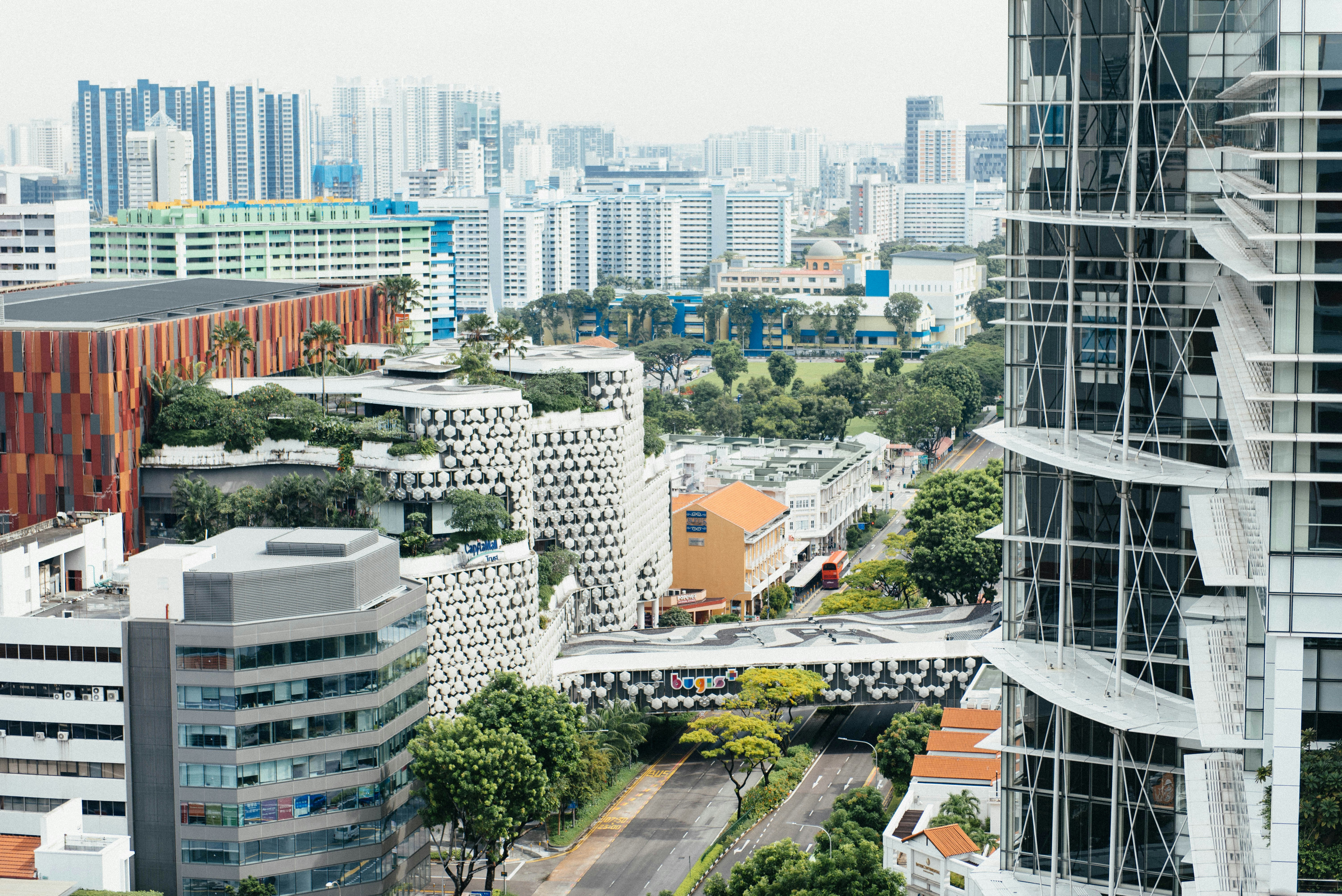 Photo by chuttersnap