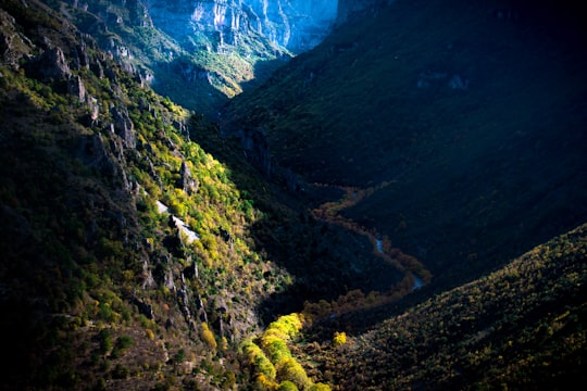 bird's eye view of forest mountain in Zagori Greece