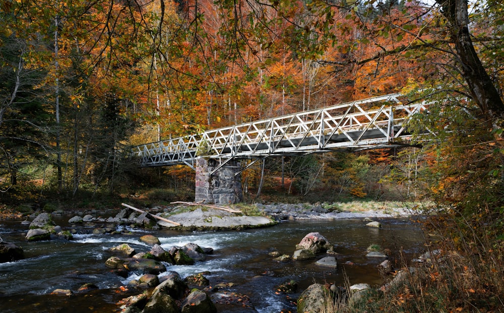 Photo de pont gris au-dessus de l’eau