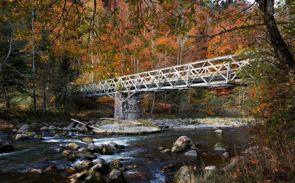 Foto del puente gris sobre el agua
