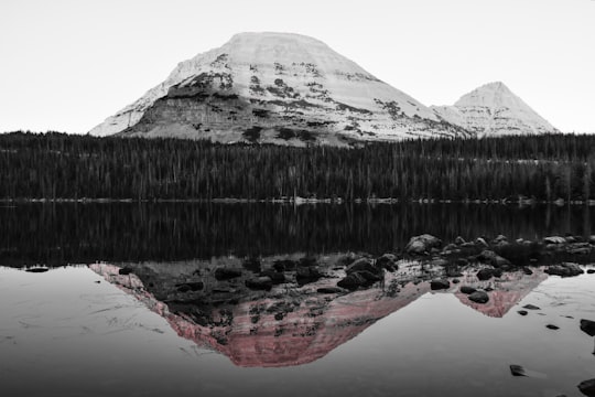 trees near body of water with snow-capped mountain in background in Mirror Lake United States