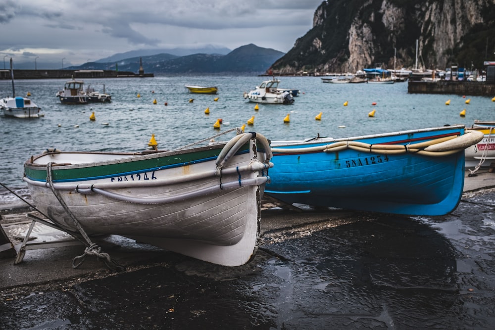 two blue and white canoe boats on seashore