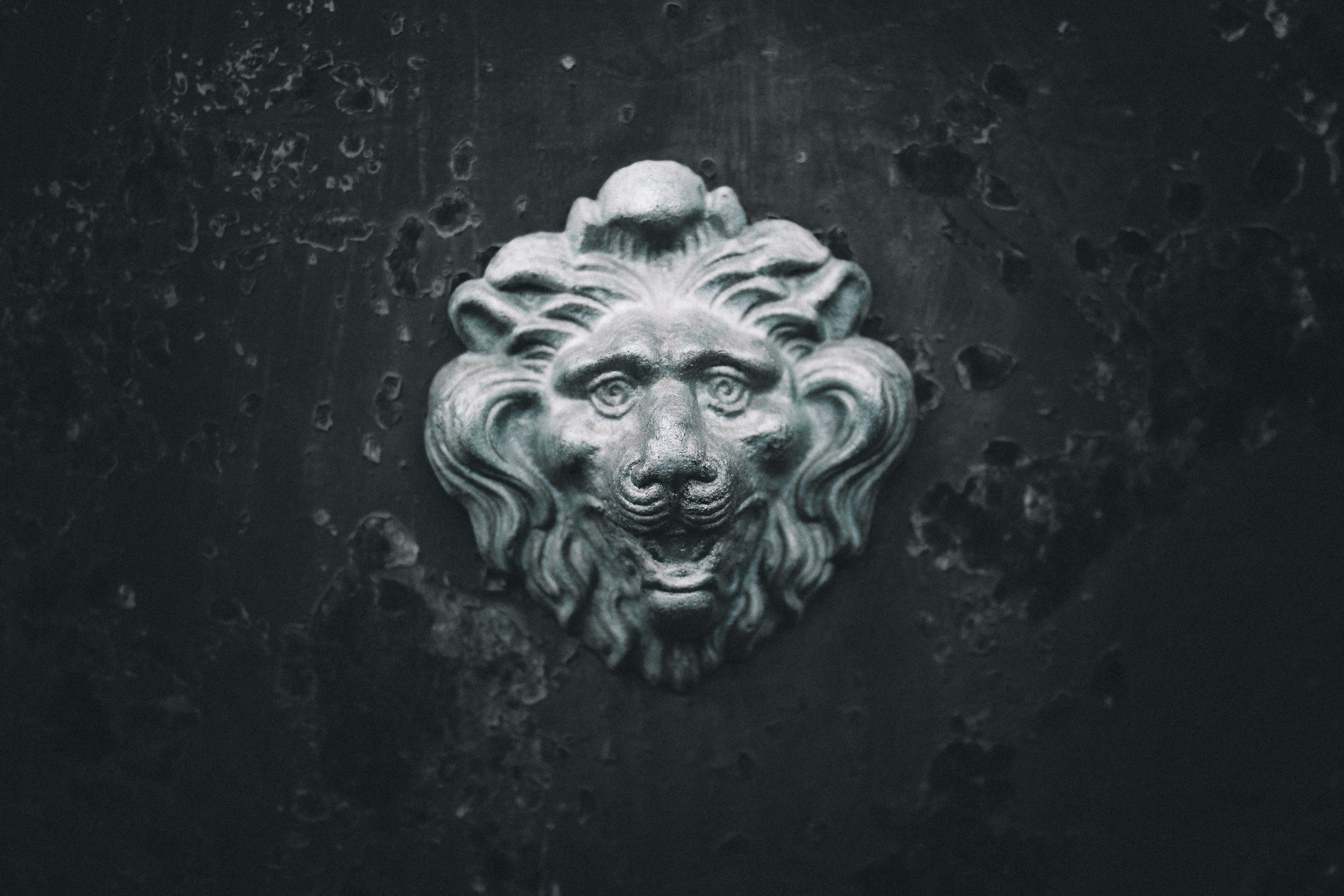 The VAT Revolution: How Consumption Taxes Transformed Public Finance