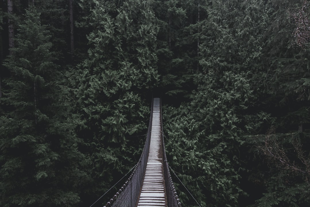 Bridge photo spot Lynn Canyon Suspension Bridge Harbour Green Park