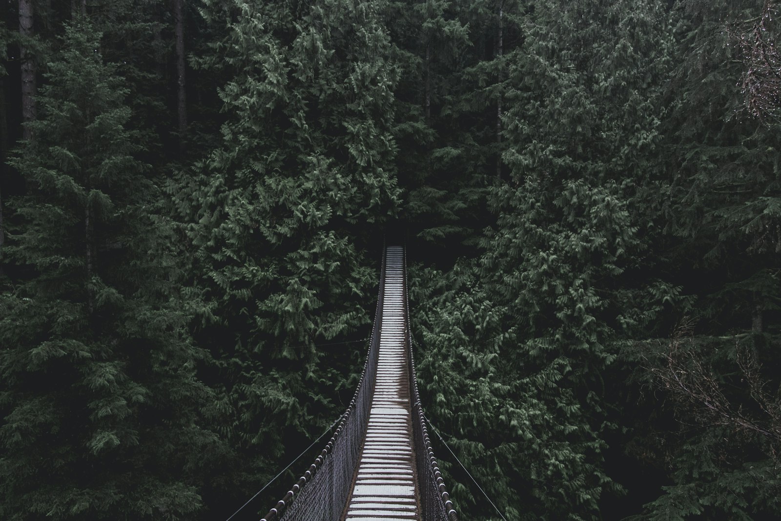 Canon EOS 700D (EOS Rebel T5i / EOS Kiss X7i) + Canon EF-S 10-18mm F4.5–5.6 IS STM sample photo. Hanging bridge on forest photography