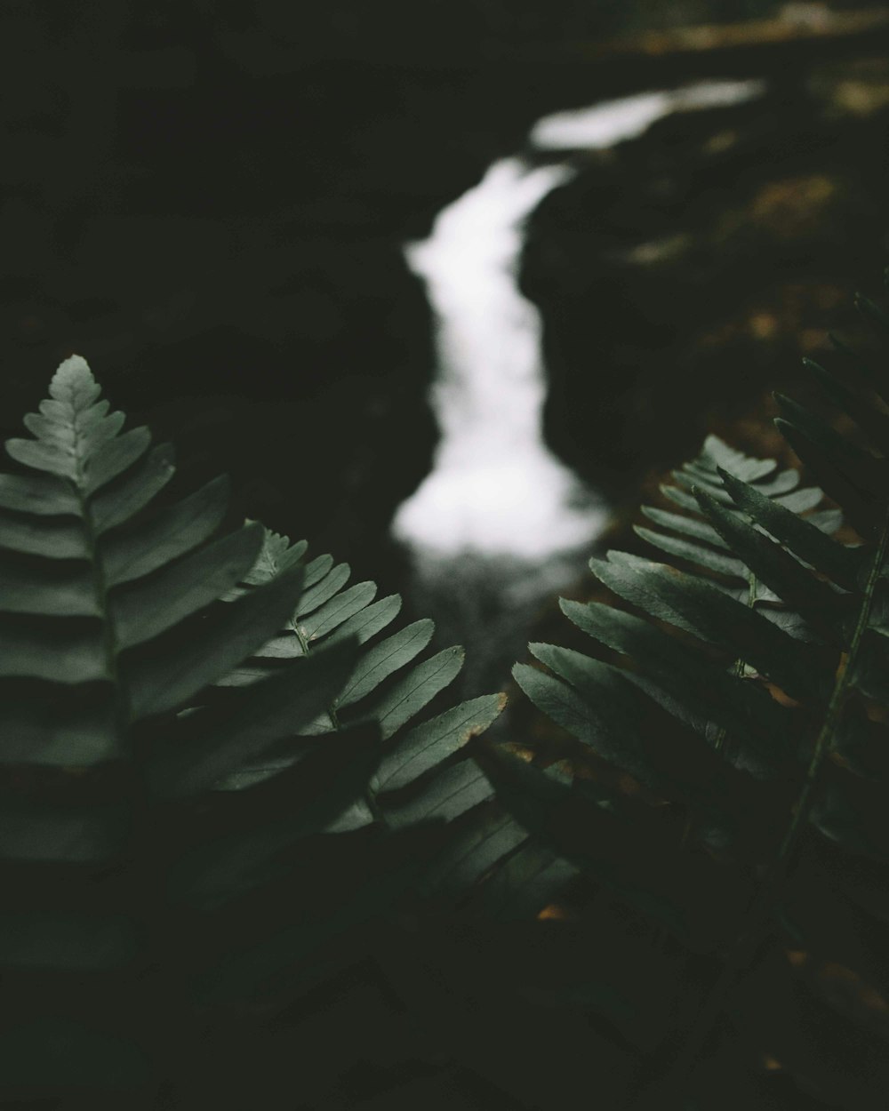 specchio d'acqua tra terra