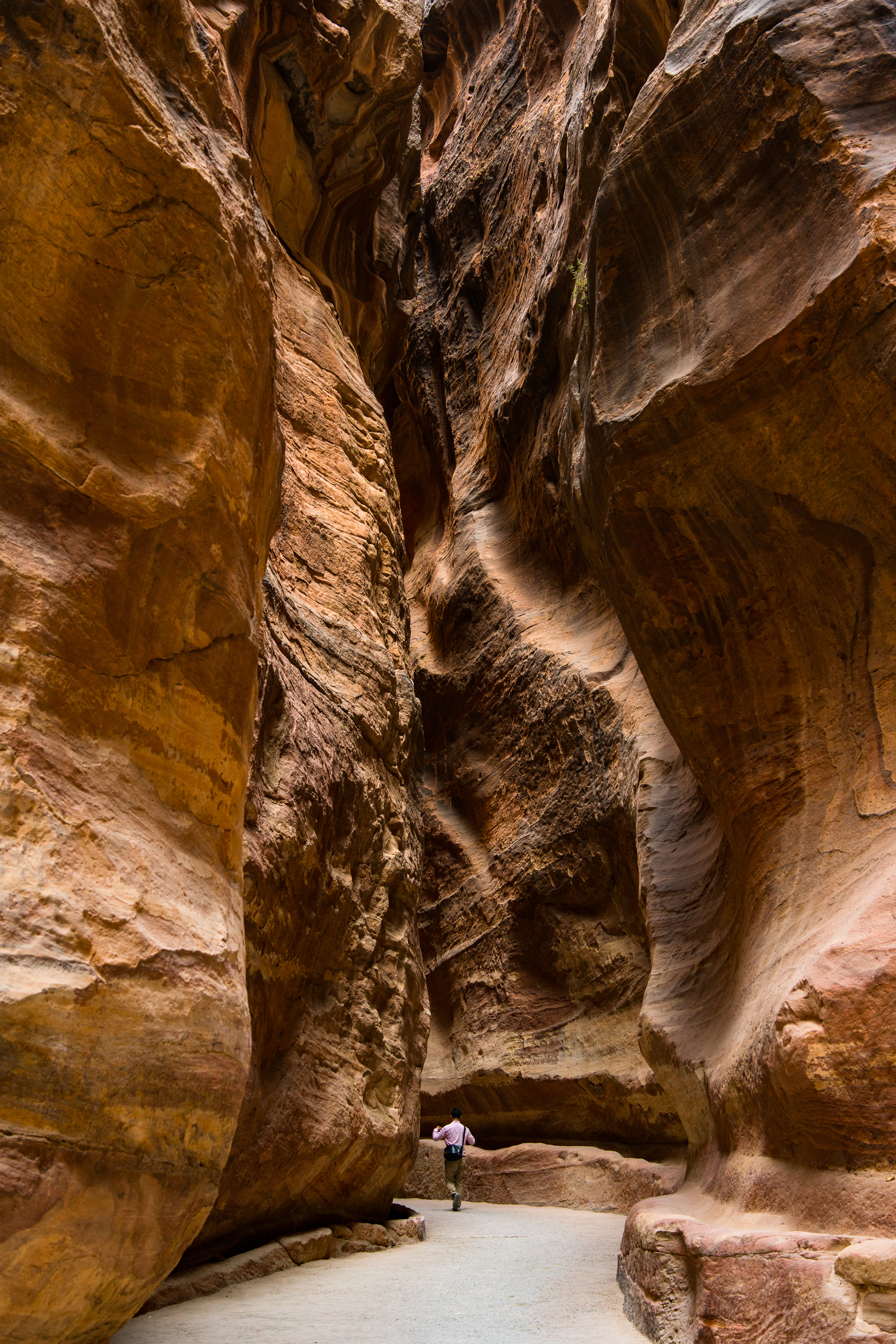 The narrow walls of the Siq at Petra, banded sandstone curving overhead and closing out the sky