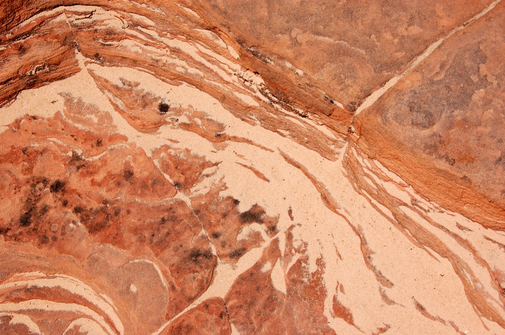 a close up of a rock with a pattern on it