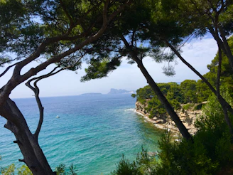 Wide shot of a sunlit Sicilian coastline with turquoise waters and rocky cliffs.