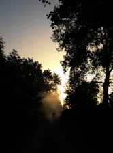 A man walking confidently along a winding path at sunrise, symbolizing personal transformation.