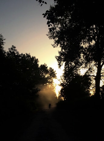 A peaceful outdoor scene with a person walking along a quiet path at sunrise.