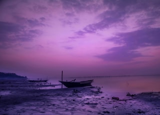 boat dock on shore