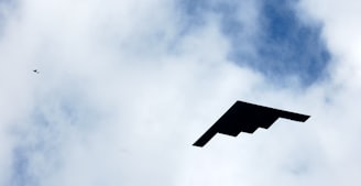 flying stealth plane during day