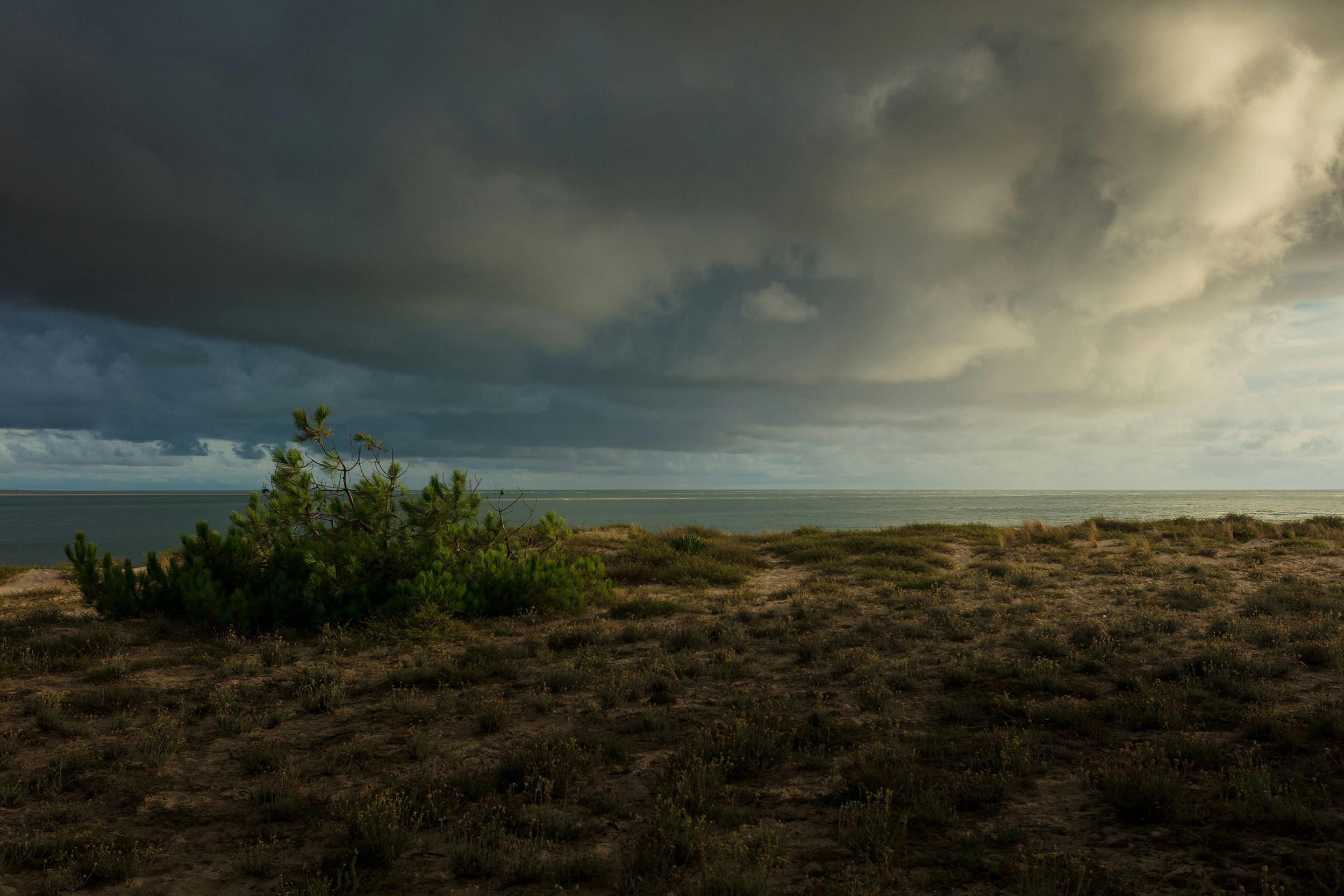 The Lone Genius Myth: Collaboration's Hidden Role in Discovery