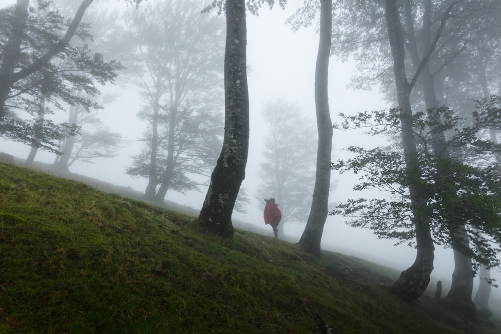 person standing on foggy mountain