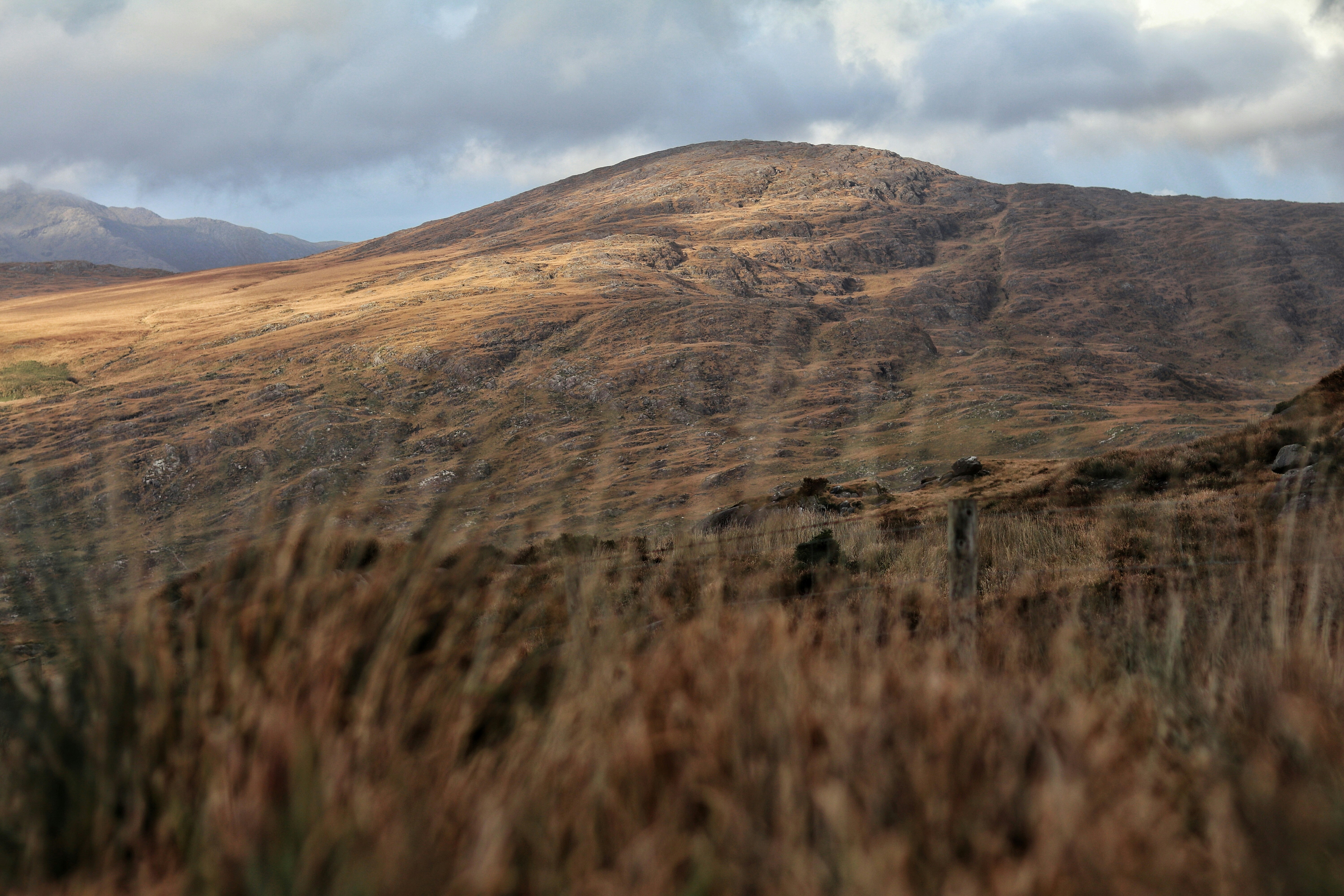 Photo by roryhennessey