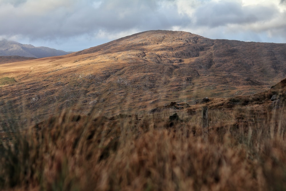 brown mountain during daytime