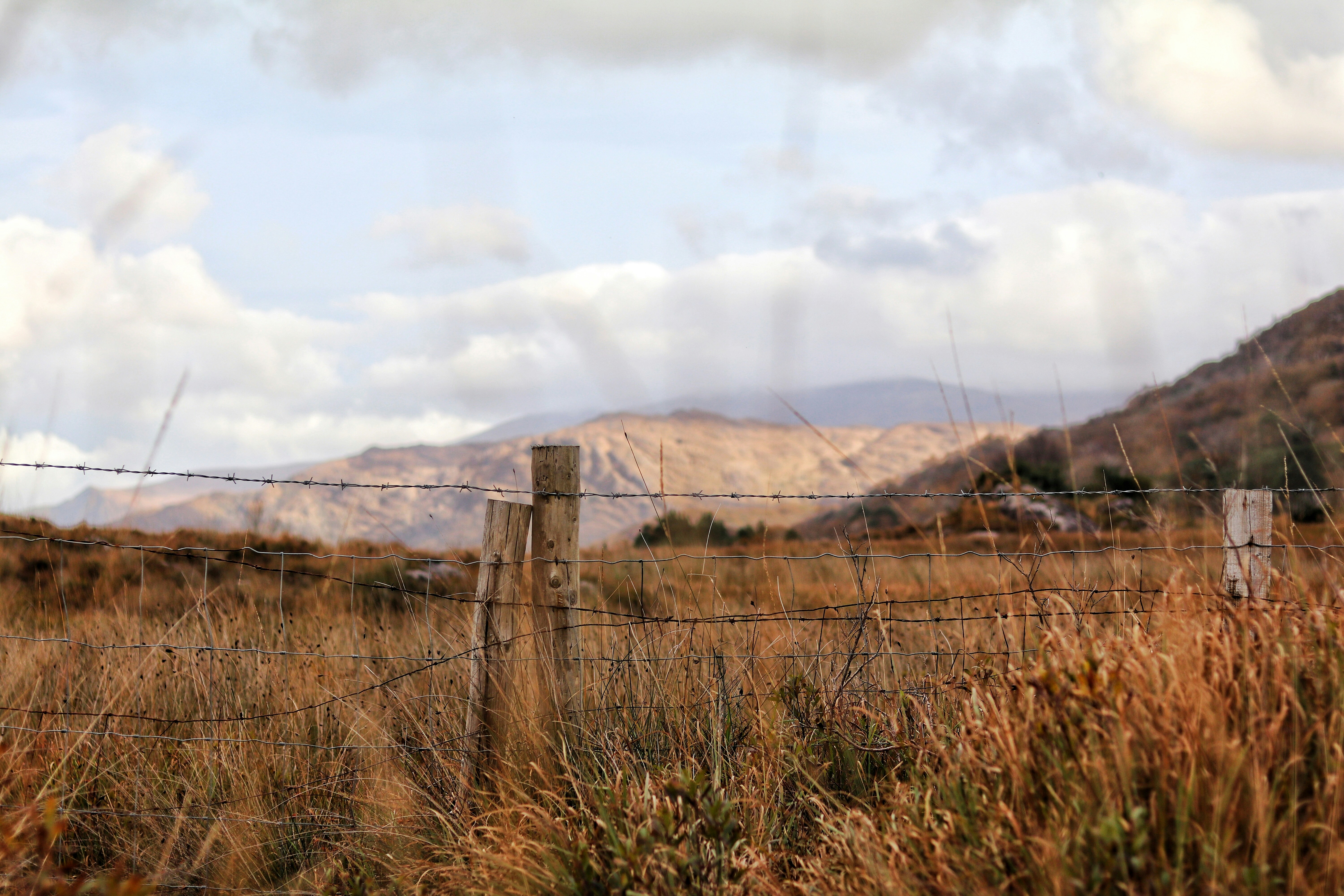 Photo by roryhennessey