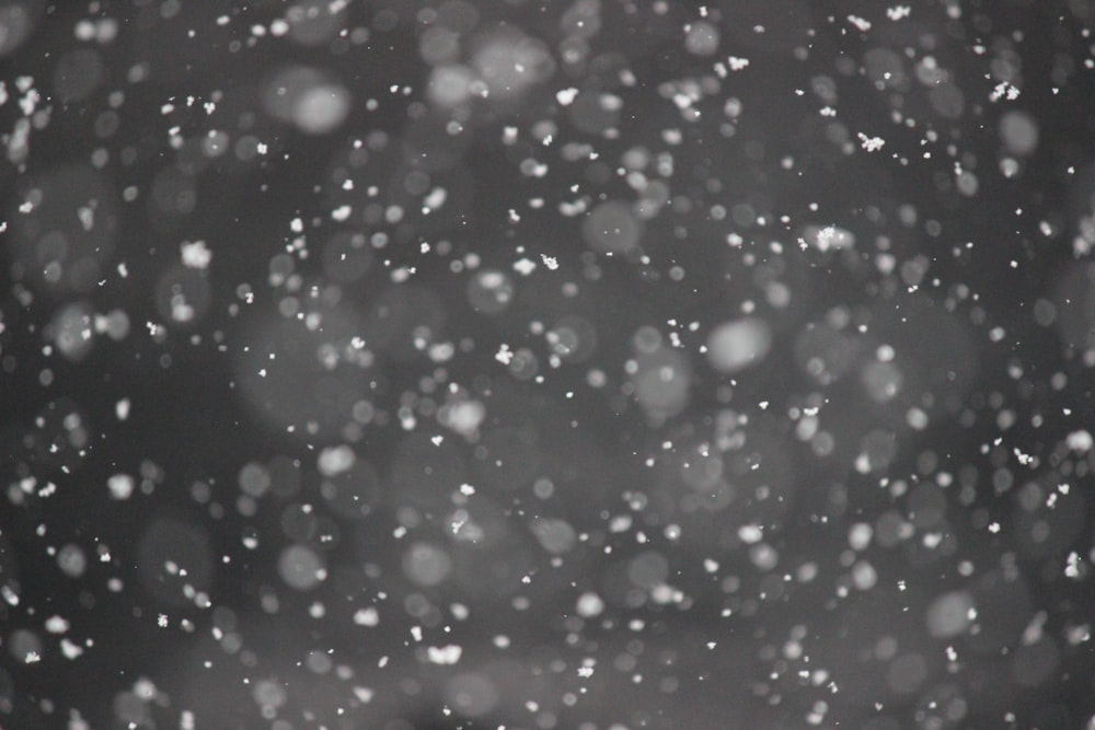 bokeh photography of snows