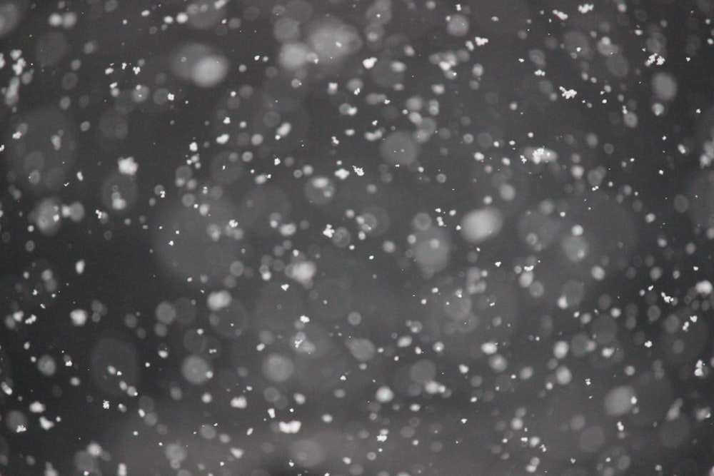 雪のボケ味写真