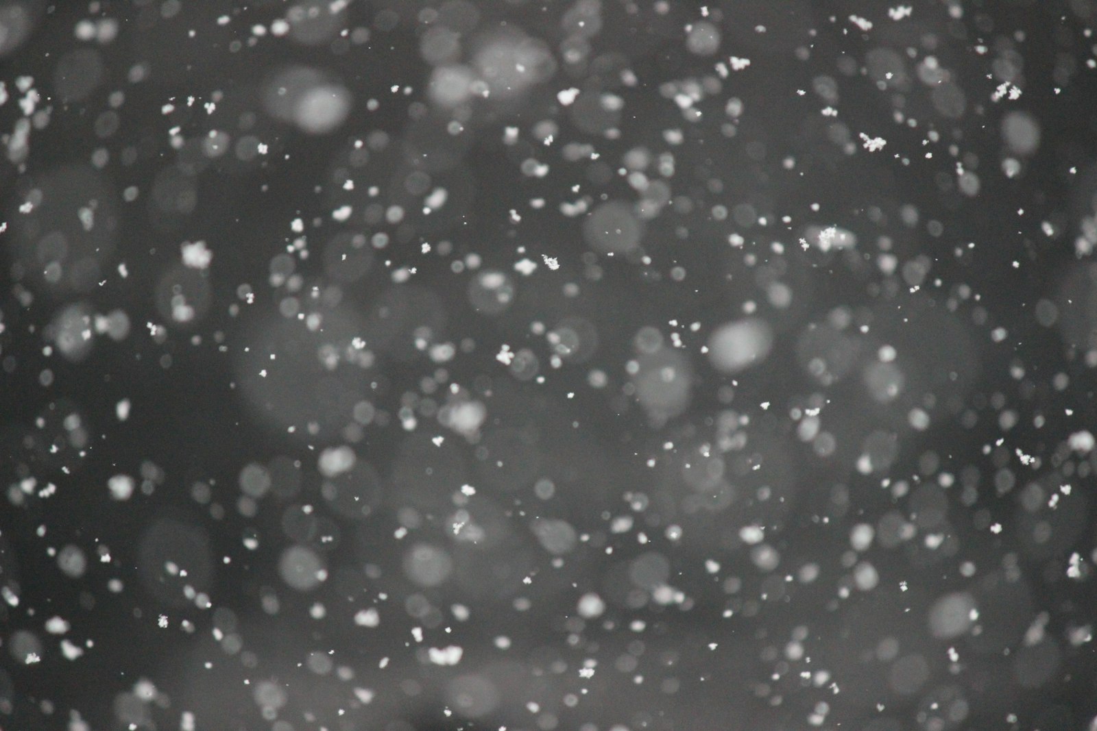 House in winter storm