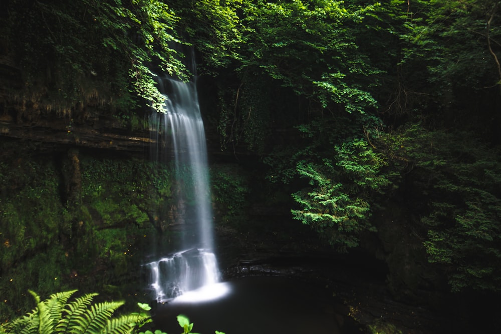 Szenerie eines Wasserfalls