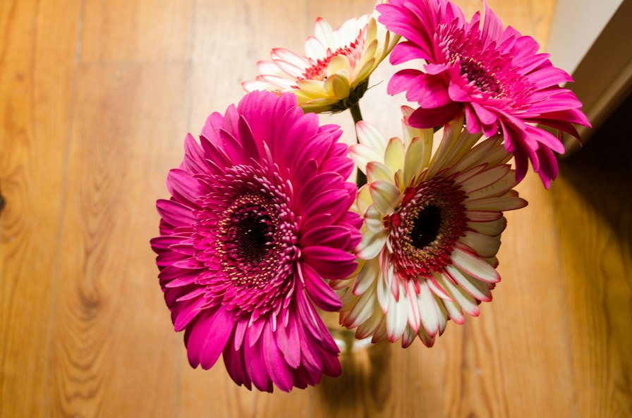 Birthday flower bouquet in Calicut — pastel gerberas and carnations