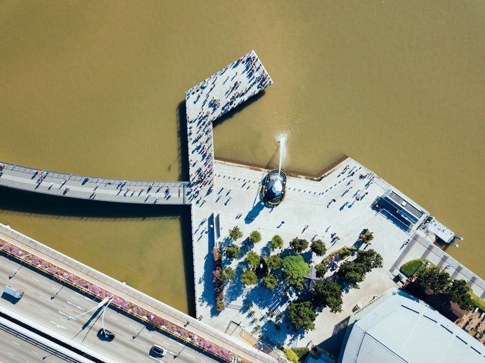 aerial shot photo of bay with trees