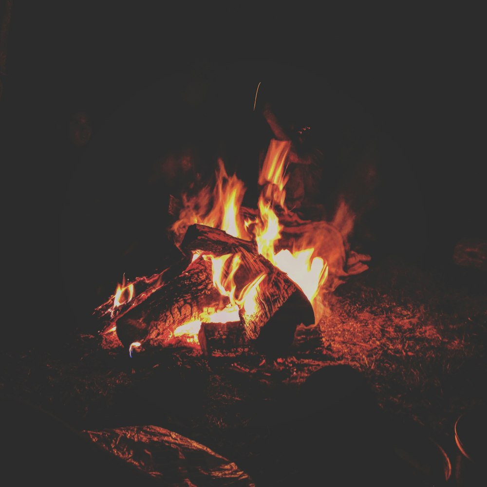 fogueira durante a noite