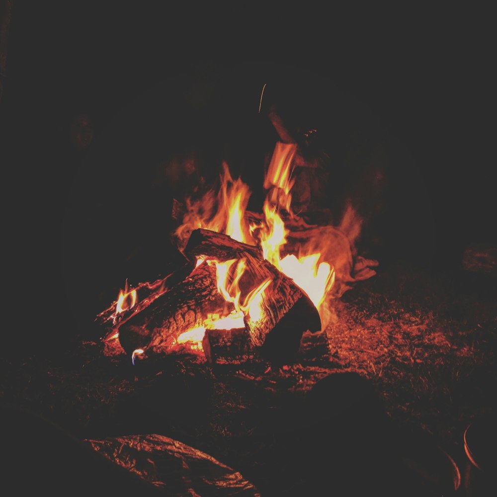 feu de joie pendant la nuit