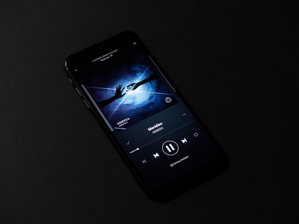 Jaký byl váš hudební rok - Spotify Wrapped 2024