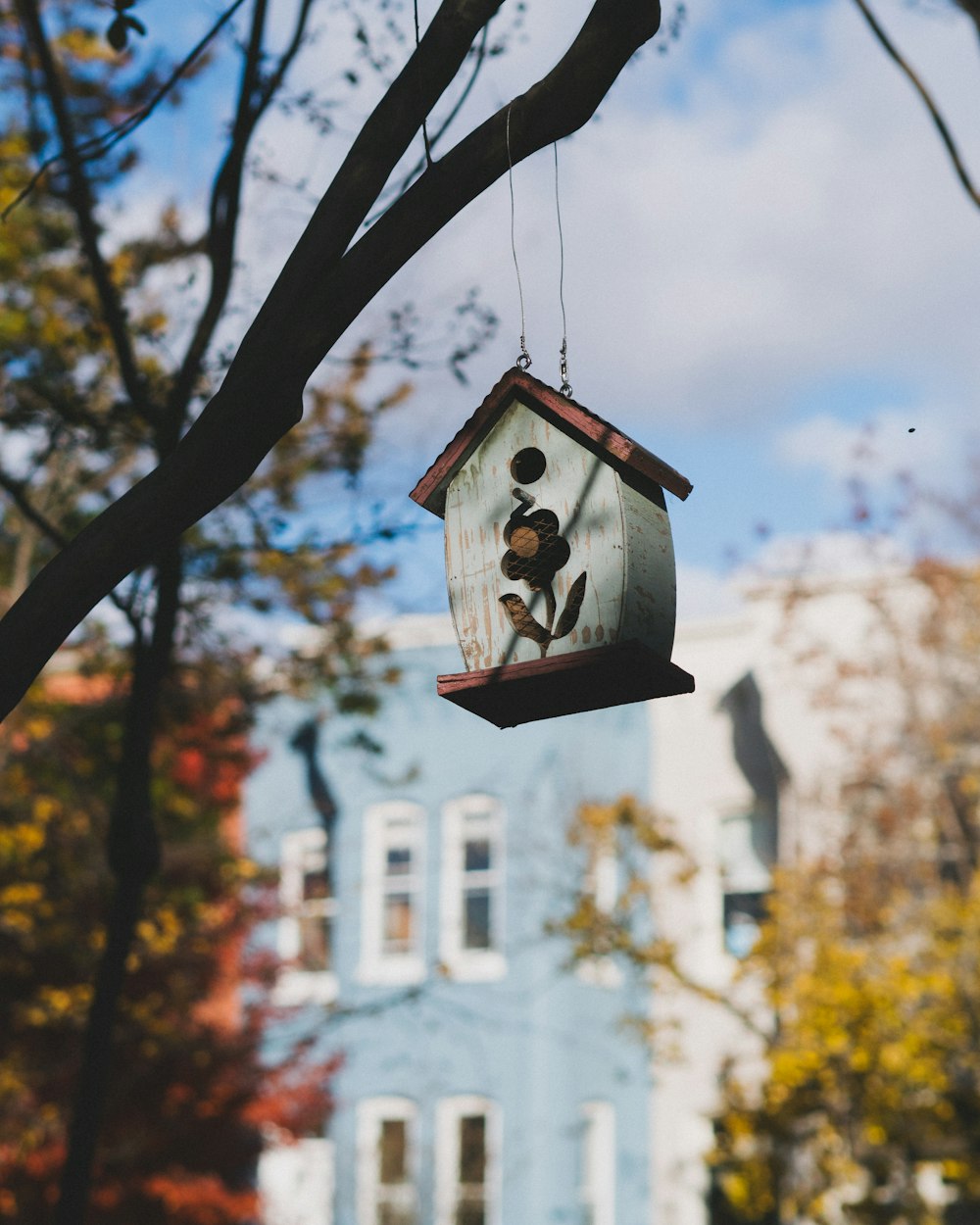 gray and brown wooden bird house